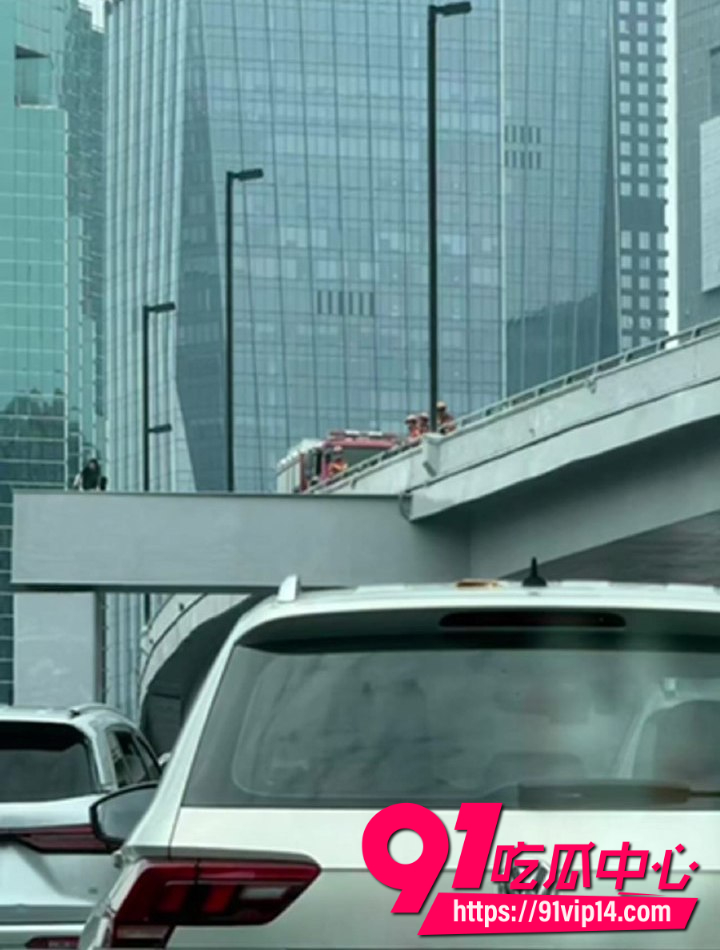 广州中山一立交黑衣女子8