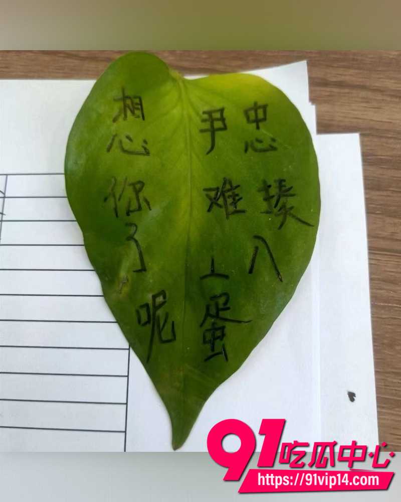 妻子出轨20年 4