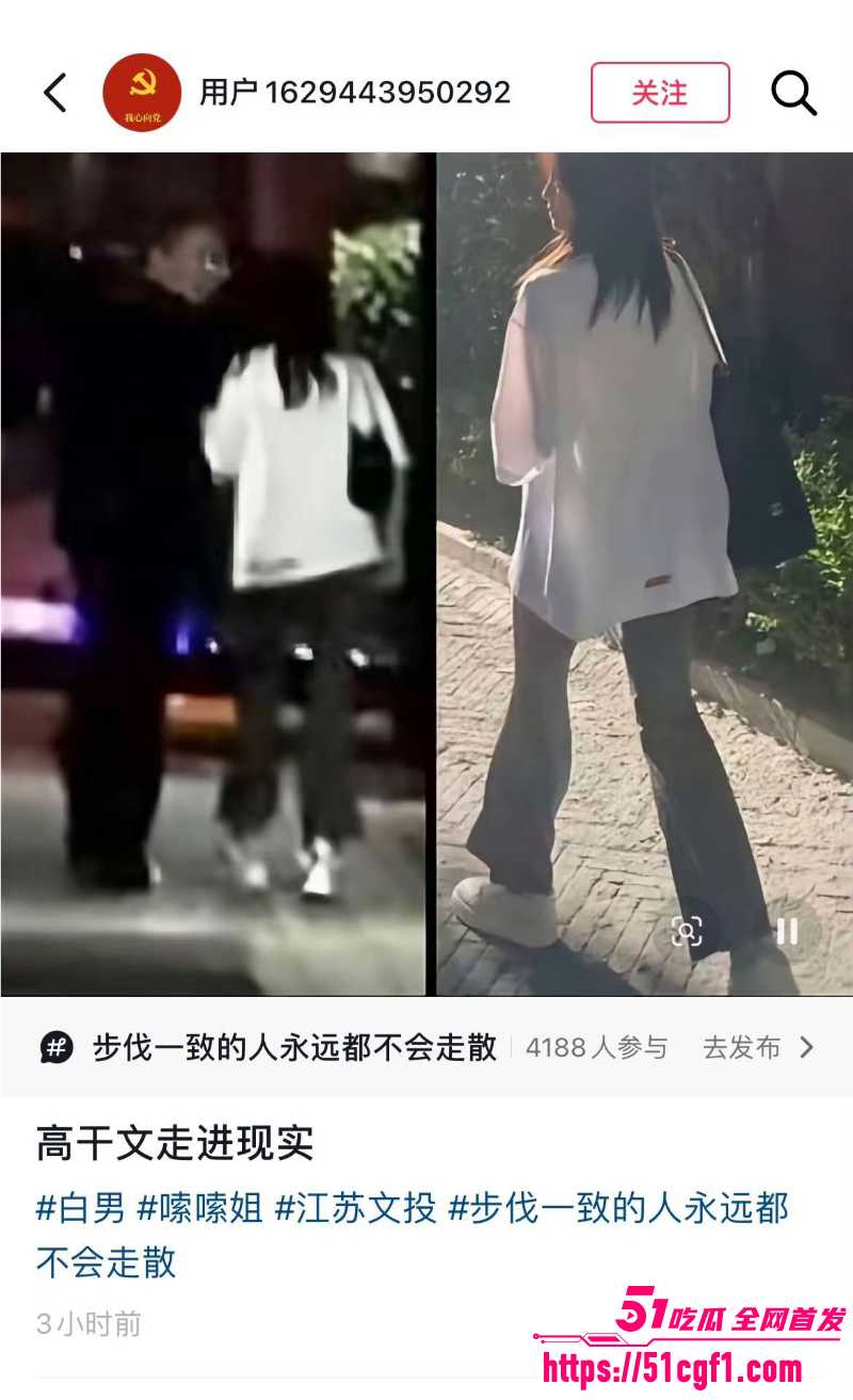 顶流女星 白鹿 与江苏文投董事长王洪俊 12