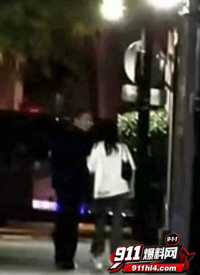 白鹭14 白鹭14