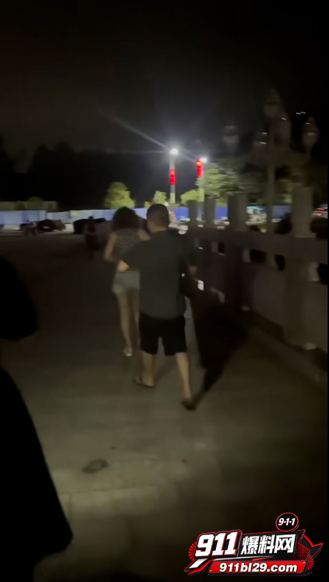反差偷情老头8