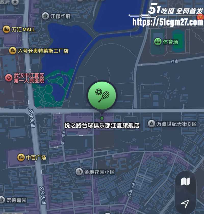武汉悦之路台球厅扫黄大瓜01