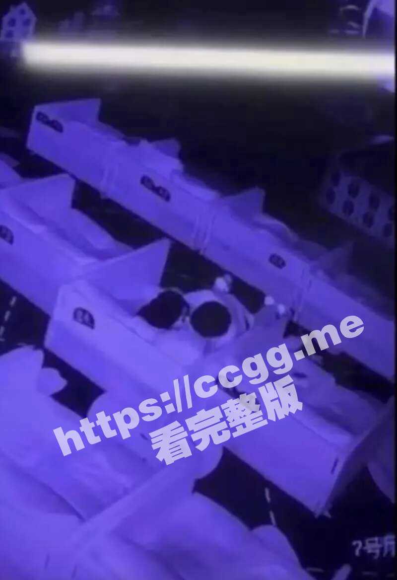 oid238239_2.jpg