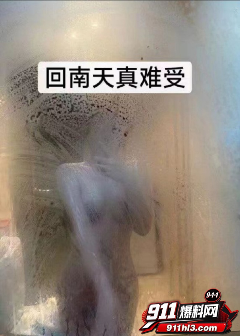 广东极品少妇 严月 33