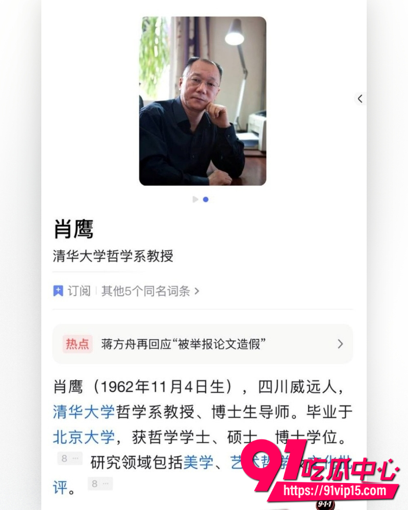 蒋方舟论文造假 3