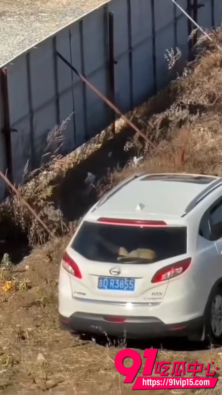 源吉DR3855车主车震视频2