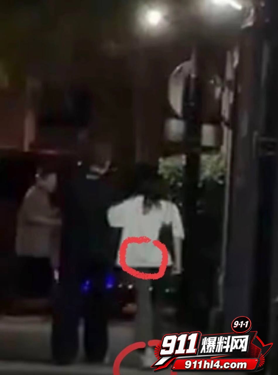 白鹭23 白鹭23