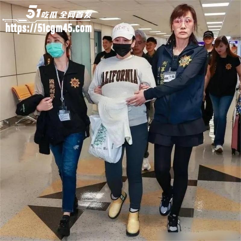 太阳花女王 刘依函遭押解回台湾 2 太阳花女王 刘依函遭押解回台湾 2