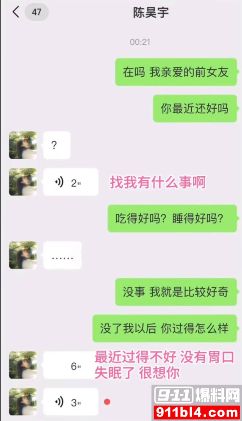 女星陈昊宇知三当三 23